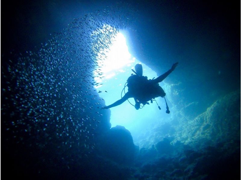 【沖縄本島・青の洞窟】体験ダイビング＆絶景パラセーリング！★贅沢満足プラン！写真撮影＆餌付け付も無料！【期間限定価格】の紹介画像