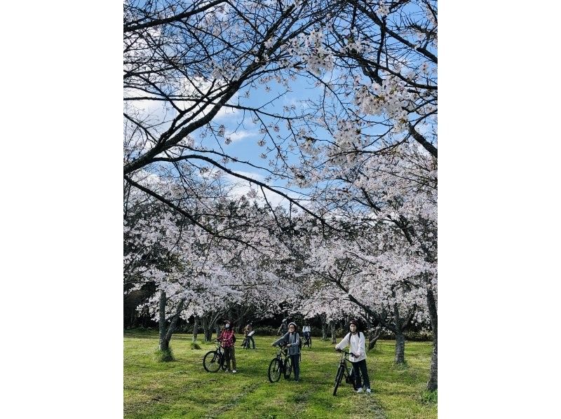 【広島　北広島町】Trip！Cycling大朝　春が来たツアー！　e-bikeガイドツアー【スプリングキャンペーン 2025】　の紹介画像