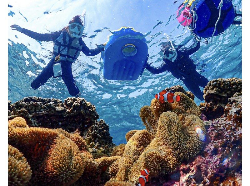 【미야코 섬 | 스노클링】 1 ~ 75 세 | 단체 OK ◆ 1 세트 한정 전세 플랜 ◆ 바다 거북 & 니모의 스노클링 <고화질 데이터>の紹介画像