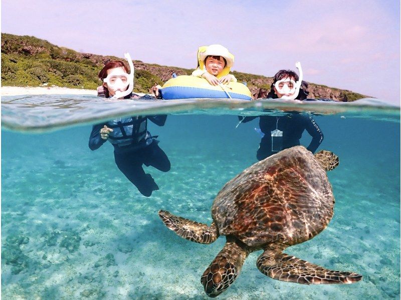 【미야코 섬 | 스노클링】 1 ~ 75 세 | 단체 OK ◆ 1 세트 한정 전세 플랜 ◆ 바다 거북 & 니모의 스노클링 <고화질 데이터>の紹介画像