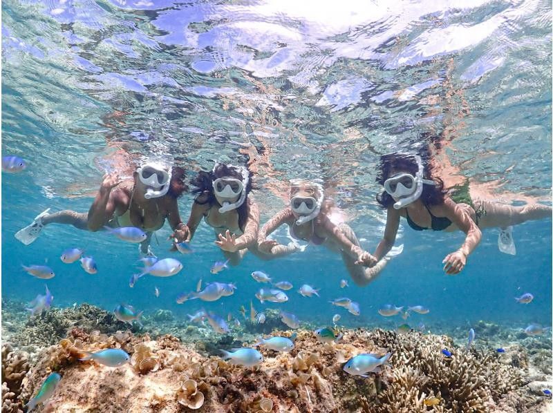 【宮古島｜シュノーケリング】1~75歳｜団体様OK◆1組限定貸切プラン◆ウミガメ＆ニモのシュノーケリング＜高画質データ＞の紹介画像