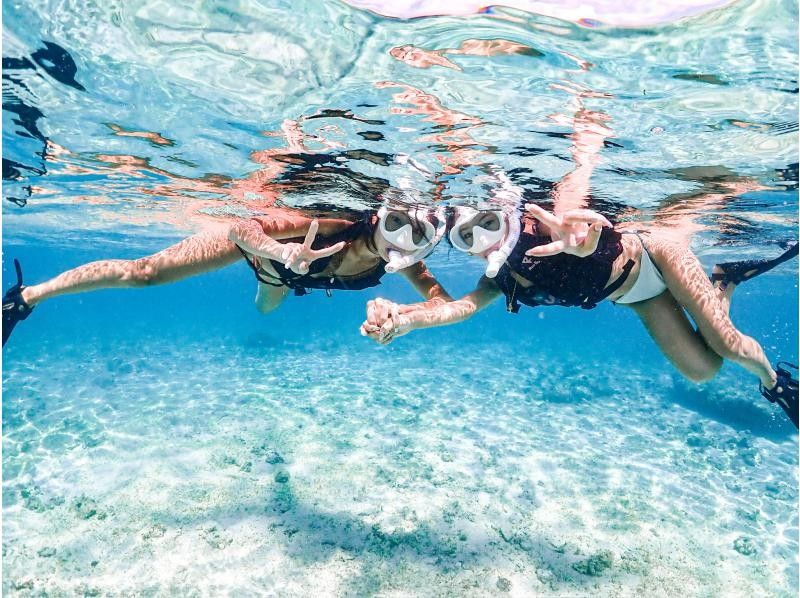 【미야코 섬 | 스노클링】 1 ~ 75 세 | 단체 OK ◆ 1 세트 한정 전세 플랜 ◆ 바다 거북 & 니모의 스노클링 <고화질 데이터>の紹介画像