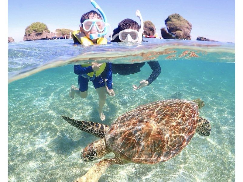 【宮古島｜シュノーケリング】1~75歳｜団体様OK◆1組限定貸切プラン◆ウミガメ＆ニモのシュノーケリング＜高画質データ＞の紹介画像