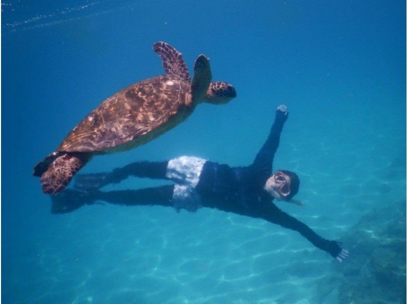 Blue Cave Boat Snorkelingの紹介画像