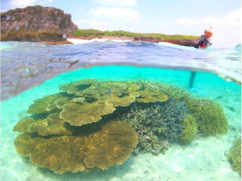 [โอกินาวา Miyakojima] ☆วงเงินชุด☆ดำน้ำดูปะการังชายหาดส่วนตัว * กล้องใต้น้ำเช่าฟรี * (หลักสูตร 3 ชั่วโมง)の紹介画像