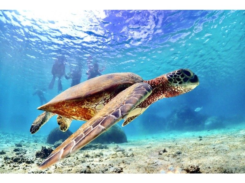[Okinawa ・ Miyakojima] ☆ One set limited ☆ reserved beach Snorkeling*underwater camera Rental Free * (3 hour course)の紹介画像