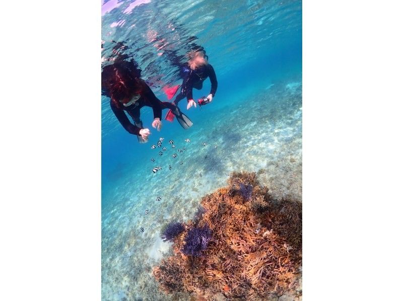 [Okinawa ・ Miyakojima] ☆ One set limited ☆ reserved beach Snorkeling*underwater camera Rental Free * (3 hour course)の紹介画像