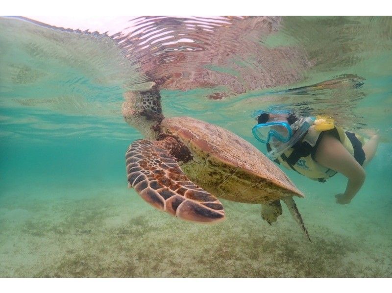 [Okinawa ・ Miyakojima] ☆ One set limited ☆ reserved beach Snorkeling*underwater camera Rental Free * (3 hour course)の紹介画像