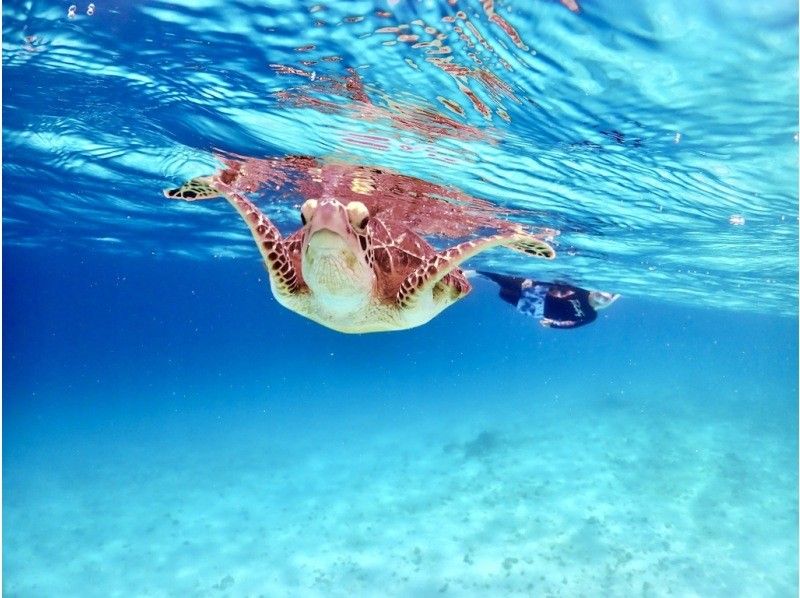 [Okinawa ・ Miyakojima] ☆ One set limited ☆ reserved beach Snorkeling*underwater camera Rental Free * (3 hour course)の紹介画像