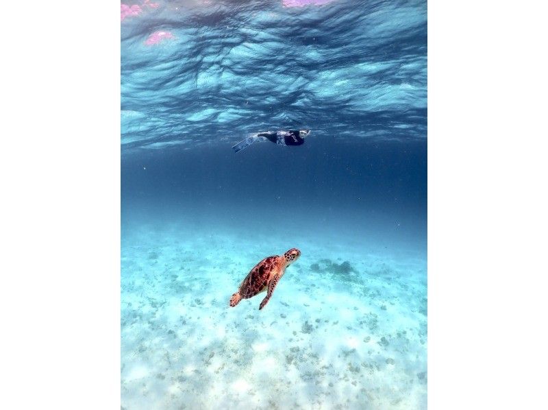 [Okinawa ・ Miyakojima] ☆ One set limited ☆ reserved beach Snorkeling*underwater camera Rental Free * (3 hour course)の紹介画像