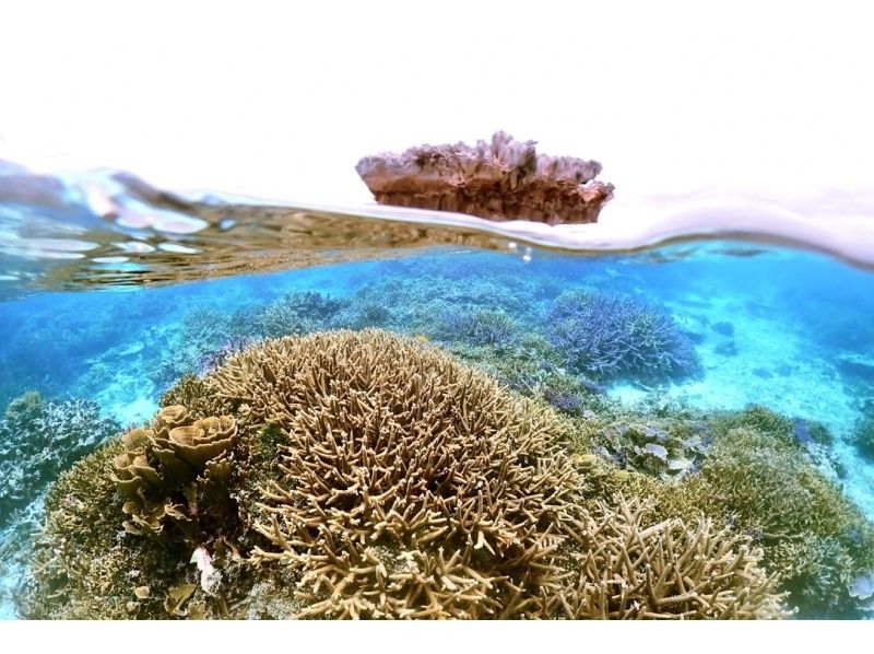 [Okinawa ・ Miyakojima] ☆ One set limited ☆ reserved beach Snorkeling*underwater camera Rental Free * (3 hour course)の紹介画像