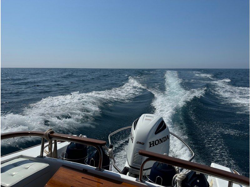 《スペシャルプライスプラン》お得に楽しむ　貸切クルーズ60分　★1グループ5名様まで11,000円!!★　ドリンク・お茶菓子付き♪の紹介画像