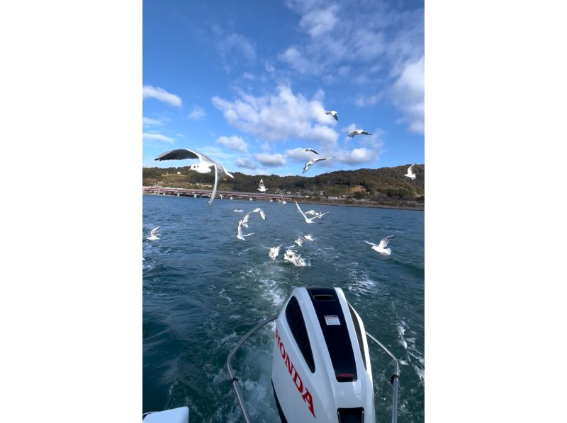 《スペシャルプライスプラン》お得に楽しむ　貸切クルーズ60分　★1グループ5名様まで11,000円!!★　ドリンク・お茶菓子付き♪の紹介画像