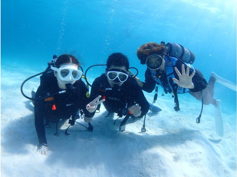 [Okinawa, Ishigaki Island] Experience diving and snorkeling up to 3 times a day! A luxurious plan where you can have fun to your heart's content! Free equipment rental and free tour photosの紹介画像