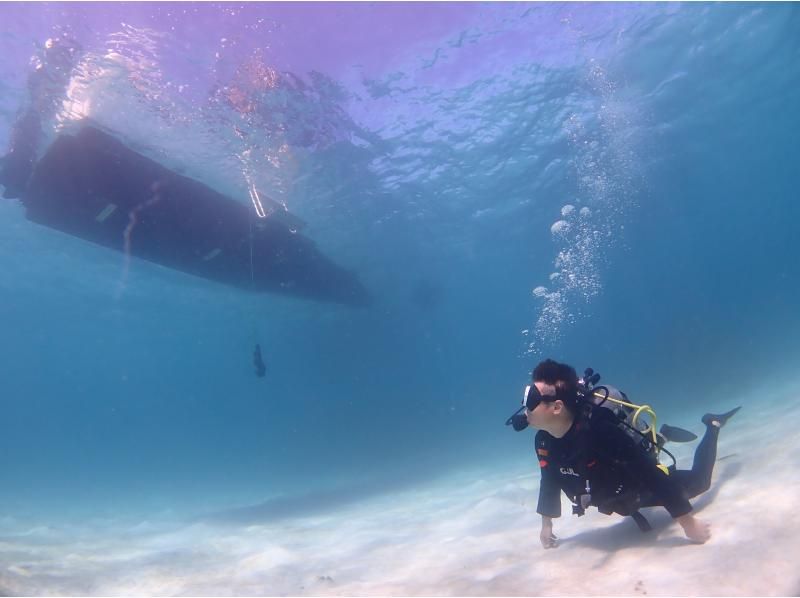 [Okinawa, Ishigaki Island] Experience diving and snorkeling up to 3 times a day! A luxurious plan where you can have fun to your heart's content! Free equipment rental and free tour photosの紹介画像