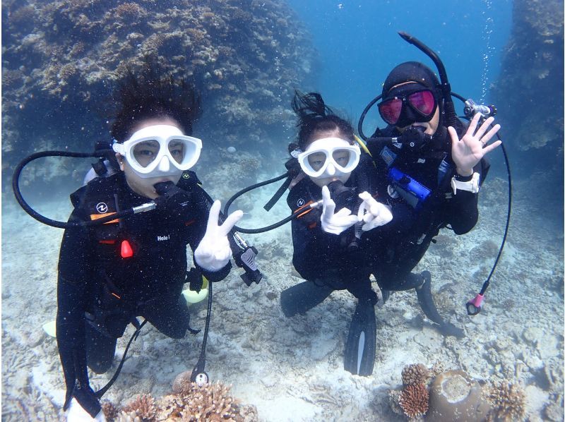 [Okinawa, Ishigaki Island] Experience diving and snorkeling up to 3 times a day! A luxurious plan where you can have fun to your heart's content! Free equipment rental and free tour photosの紹介画像