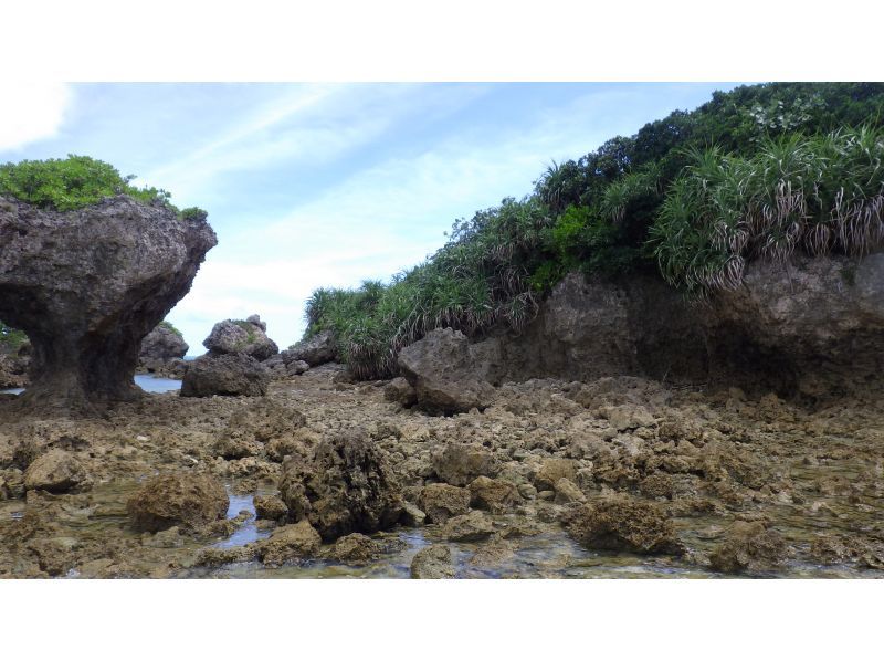 【糸満・那覇】無人島の海でクリアサップやウェイクボード、バナナボート含む絶叫系で遊びまくろう！10種類のマリンアクティビティ90分遊び放題！の紹介画像