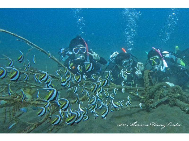 [Shizuoka, Izu Kogen] Equipment rental included ♪ Enjoy your first dive in Izu Akazawa, a resort-like place just 2 hours from Tokyo ♪の紹介画像