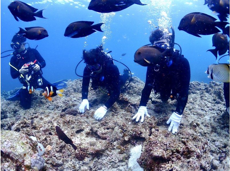 【沖縄・青の洞窟】水深12m！体験ダイビング2DIVEプラン♪一組完全貸切♪動画・写真撮影無料！の紹介画像