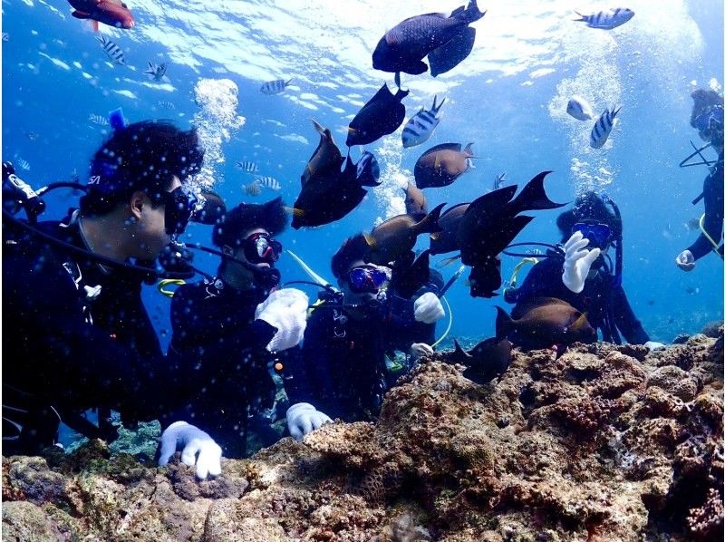 【沖縄・青の洞窟】水深12m！体験ダイビング2DIVEプラン♪一組完全貸切♪動画・写真撮影無料！の紹介画像