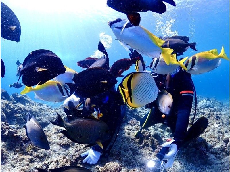 【沖縄・青の洞窟】水深12m！体験ダイビング2DIVEプラン♪一組完全貸切♪動画・写真撮影無料！の紹介画像