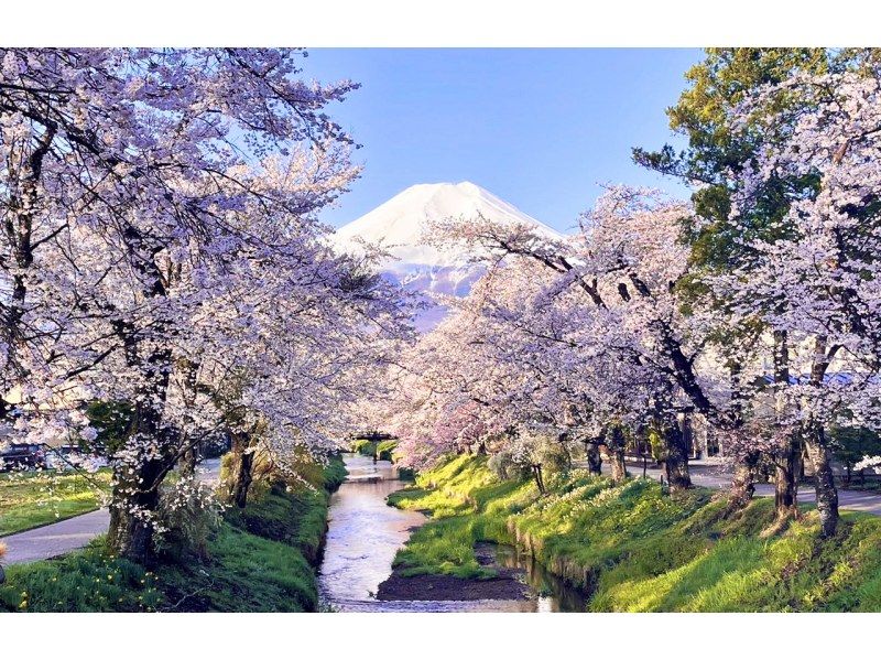 [Shizuoka, Mt. Fuji, Bus Tour] A day trip to Mt. Fuji's Internet celebrity attractions - Tenty Town, Oshino Hakkai, Lake Kawaguchi, and convenience store Lawsonの紹介画像