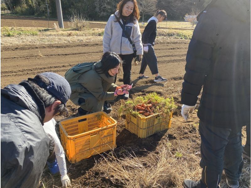 [Chiba, Chiba City] An agricultural experience event that includes farming, harvesting, rice planting, and rice harvesting! Agricultural experience that is soothing in nature & cooking rice in a rice cooker with a hagama and firewoodの紹介画像