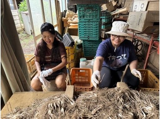 【千葉・千葉市】農業や収穫、田植え、稲刈りなどの農業体験イベント!自然に癒される農業体験&羽釜、薪での飯盒炊飯 【千葉・千葉市】農業や収穫、田植え、稲刈りなどの農業体験イベント!自然に癒される農業体験&羽釜、薪での飯盒炊飯