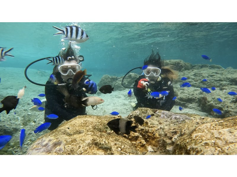 おひとり様専用プラン《恩納村☆青の洞窟体験ダイビング》送迎リクエスト可！GoPro写真動画撮り放題付き！のコピーの紹介画像
