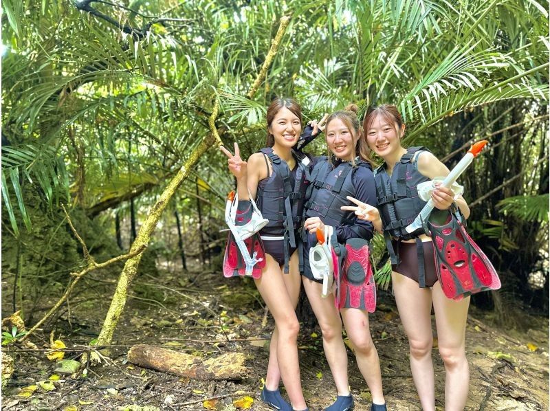 ANA 잡지 게재 【환상의 섬 & 푸른 동굴】 바다 거북 조우율 99 % ★ 이시가키 섬 일생에 한 번은 가고 싶다! 대인기 명소★【2세~85세】송영・사진 무료の紹介画像