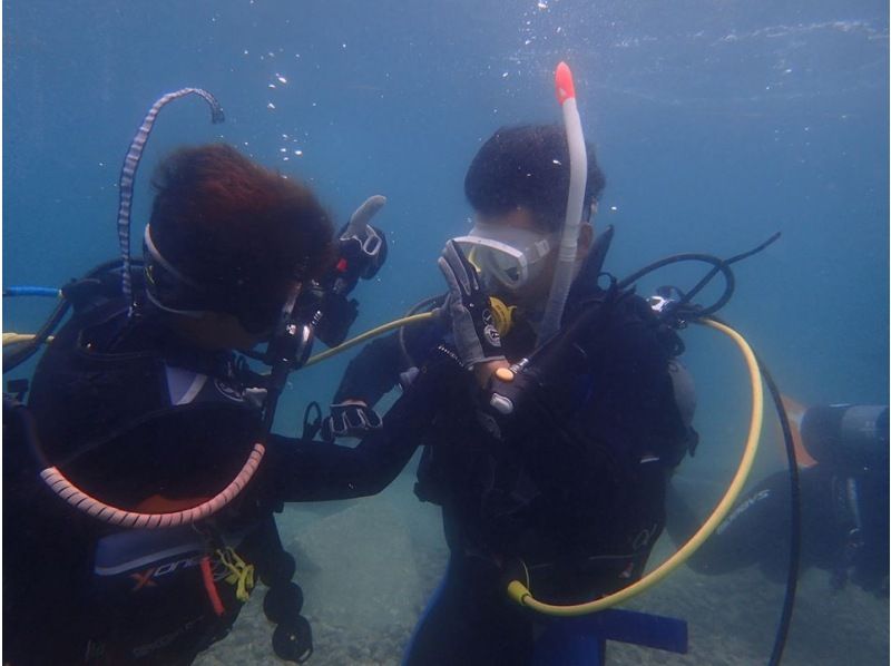 SALE！【静岡・西伊豆・大瀬崎】ライセンス取得コース（BSAC・オーシャンダイバーコース・2日間）レンタル器材無料の紹介画像