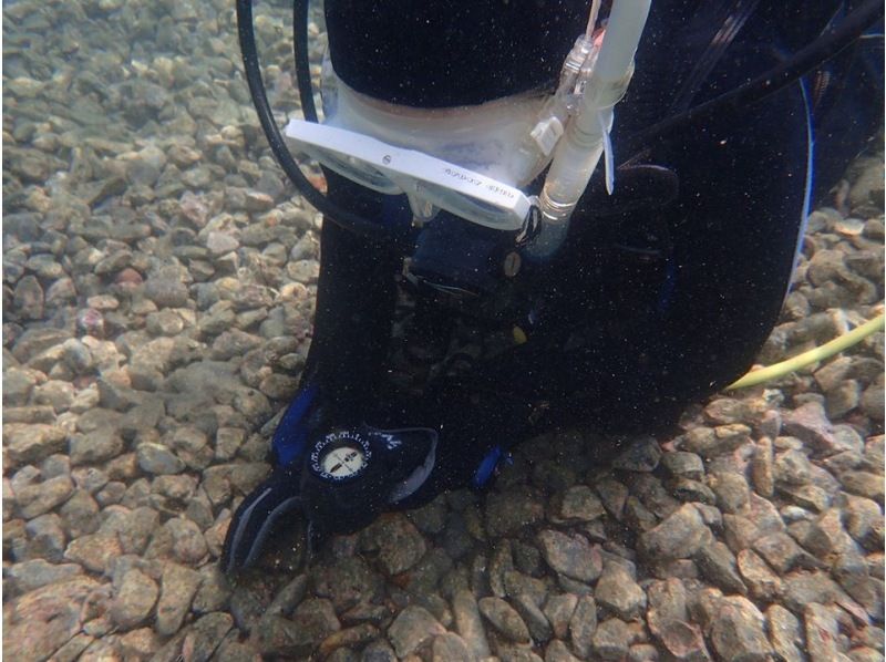 SALE！【静岡・西伊豆・大瀬崎】ライセンス取得コース（BSAC・オーシャンダイバーコース・2日間）レンタル器材無料の紹介画像