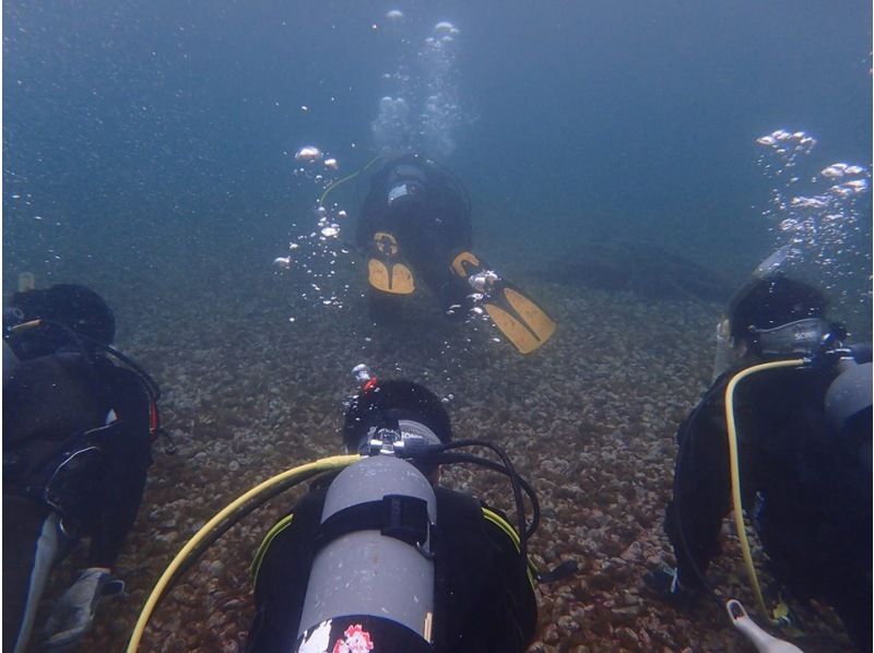 SALE！【静岡・西伊豆・大瀬崎】ライセンス取得コース（BSAC・オーシャンダイバーコース・2日間）レンタル器材無料の紹介画像