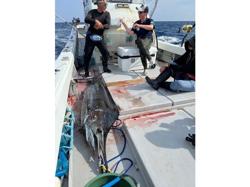 【沖縄・石垣島】カジキ釣りトローリング　半日貸切チャーター　の紹介画像