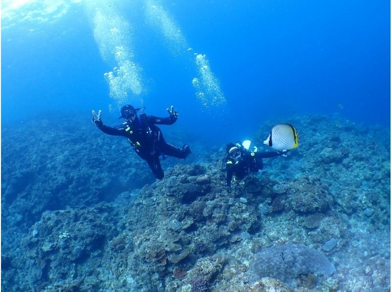 [Morning flight, Okinawa, diving experience, empty-handed] Air-conditioned ship, free photos and videosの紹介画像