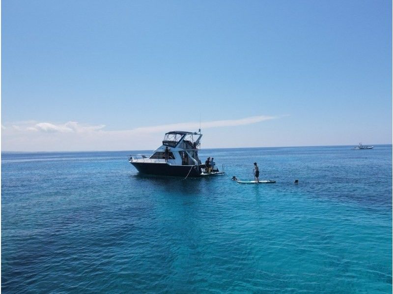 [Morning flight, Okinawa, diving experience, empty-handed] Air-conditioned ship, free photos and videosの紹介画像