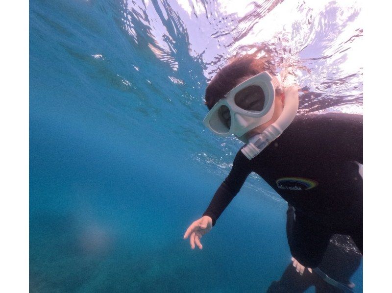 Swim with turtles at Nakayukui Beach Entry Snorkeling in Onna Villageの紹介画像