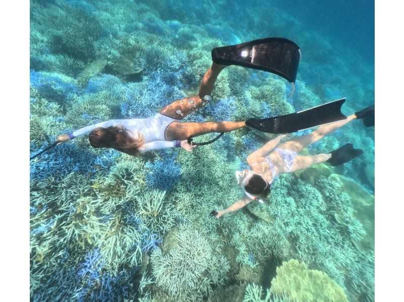 Swim with turtles at Nakayukui Beach Entry Snorkeling in Onna Villageの紹介画像