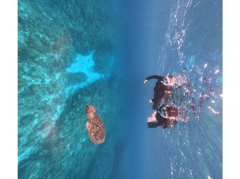 Swim with turtles at Nakayukui Beach Entry Snorkeling in Onna Villageの紹介画像