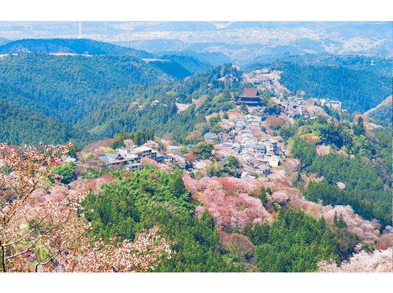 【桜の季節限定】奈良公園のかわいい鹿 |東大寺 |吉野山のお花見 |千本桜 |無料の桜ベル | 1日ツアーの紹介画像