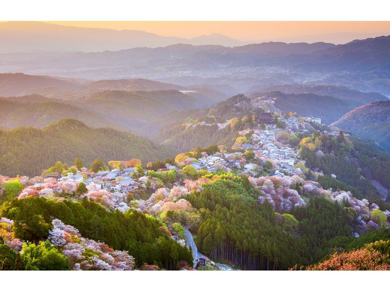 【桜の季節限定】奈良公園のかわいい鹿 |東大寺 |吉野山のお花見 |千本桜 |無料の桜ベル | 1日ツアーの紹介画像