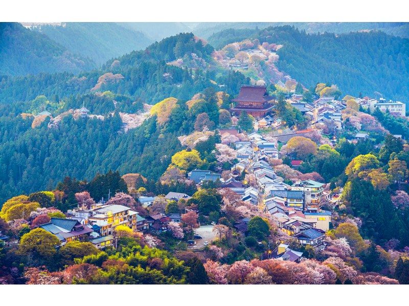 【桜の季節限定】奈良公園のかわいい鹿 |東大寺 |吉野山のお花見 |千本桜 |無料の桜ベル | 1日ツアーの紹介画像