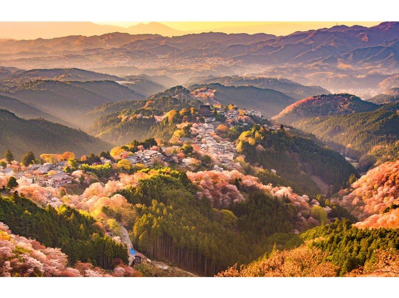 【桜の季節限定】奈良公園のかわいい鹿 |東大寺 |吉野山のお花見 |千本桜 |無料の桜ベル | 1日ツアーの紹介画像