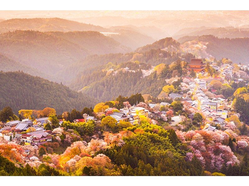 【桜の季節限定】奈良公園のかわいい鹿 |東大寺 |吉野山のお花見 |千本桜 |無料の桜ベル | 1日ツアーの紹介画像