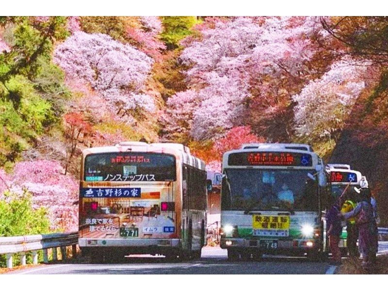 【桜の季節限定】奈良公園のかわいい鹿 |東大寺 |吉野山のお花見 |千本桜 |無料の桜ベル | 1日ツアーの紹介画像