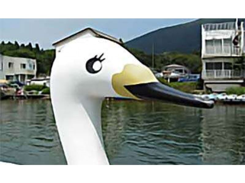 Kanagawa, Hakone] Rent a 3-person swan boat! Take a tour of Lake