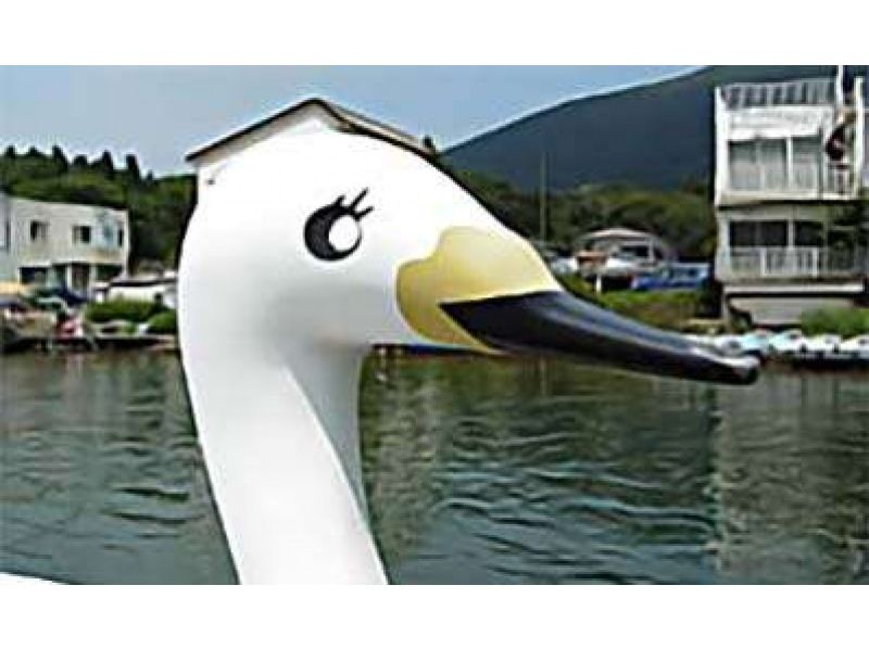 [Kanagawa/Hakone] Rent a 3-person swan boat! Take a tour of Lake Ashi!の紹介画像