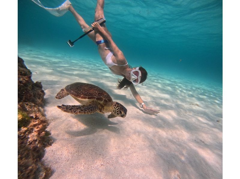 Half-day private plan for Yabiji, one of the world's largest coral reefsの紹介画像