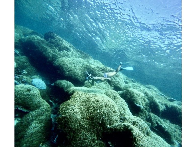Half-day private plan for Yabiji, one of the world's largest coral reefsの紹介画像