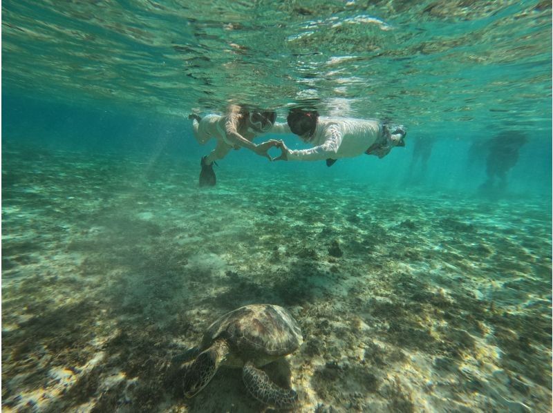Half-day private plan for Yabiji, one of the world's largest coral reefsの紹介画像
